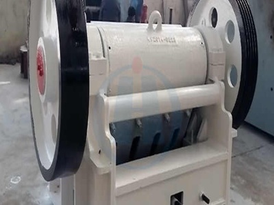 instant roller mills india 